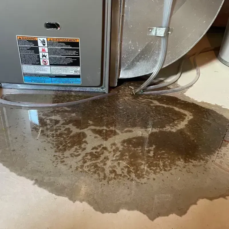 Appliance Leak Cleanup in Woods County, OK